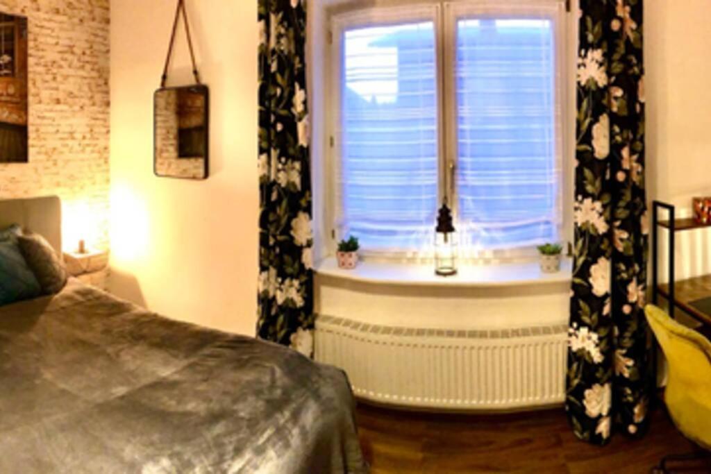 Apartment Zum Schwarzen Tiger Inkl. Parkplatz Erfurt Ngoại thất bức ảnh